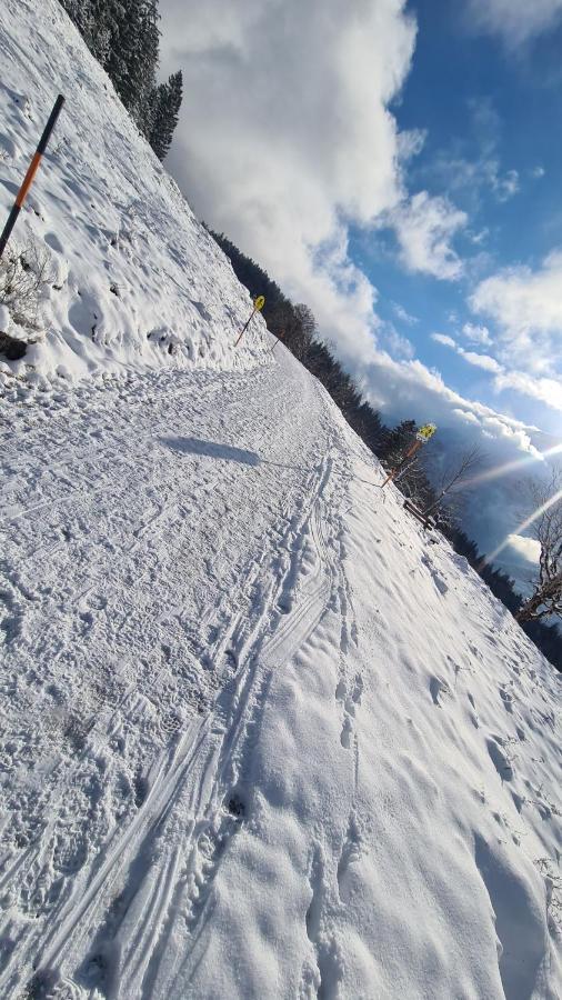 Gasthof Wimbachklamm 람사우 외부 사진